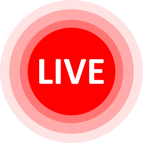 Raceplay Cams